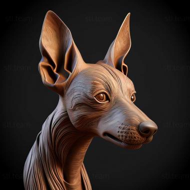 3D model Xoloitzcuintli dog (STL)